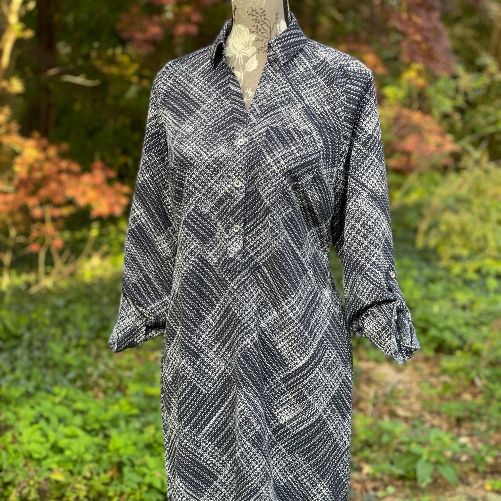 The Limited- Ashton Dress long sleeve black and white